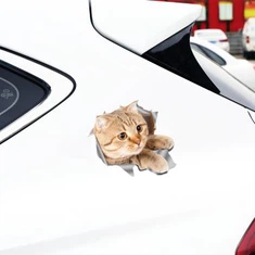 Avtomobil eshigi deklaratsiyasi